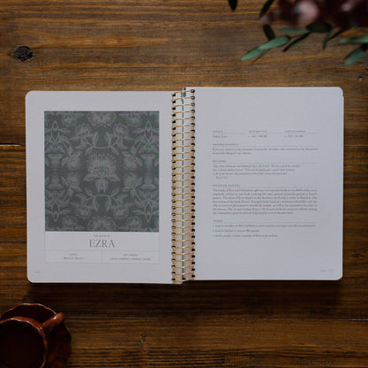 A Year in the Bible | 365 Days of Discovering the Beauty of Jesus from Genesis to Revelation | Volume 2