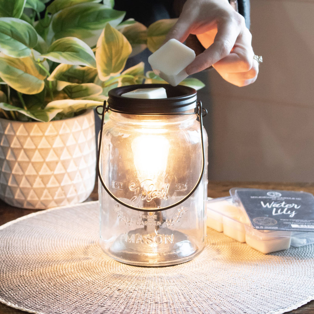 North Shore Wax Melts