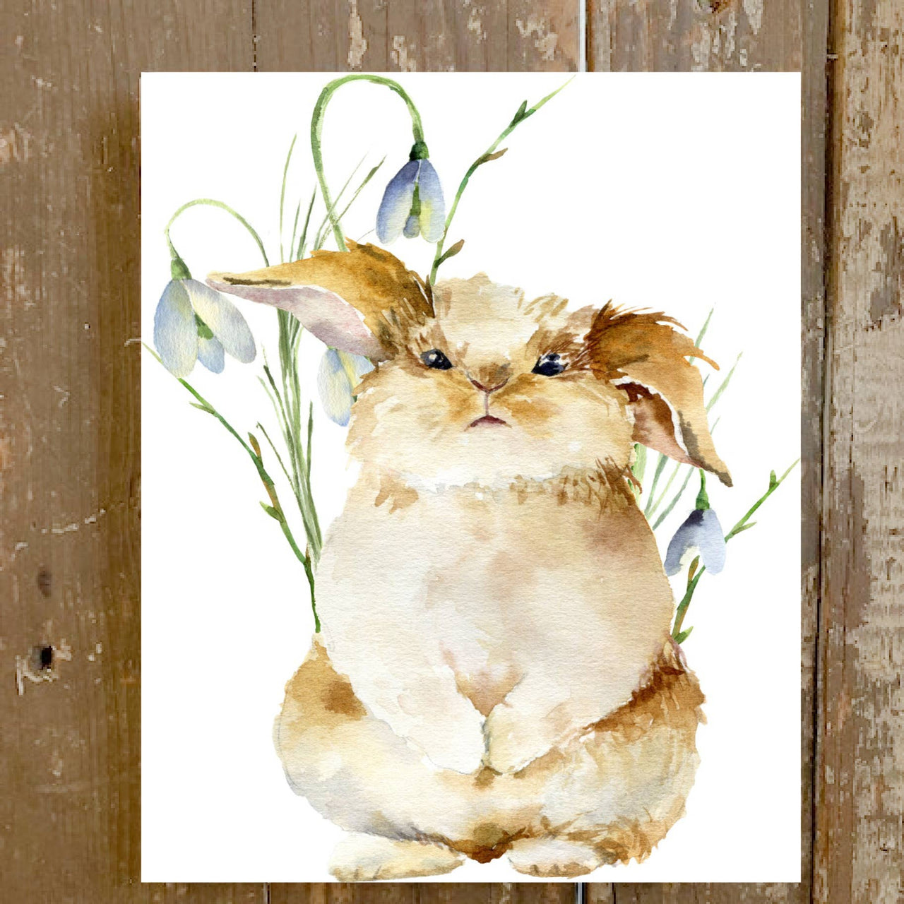 Bunny wall shelf decor: 8x10