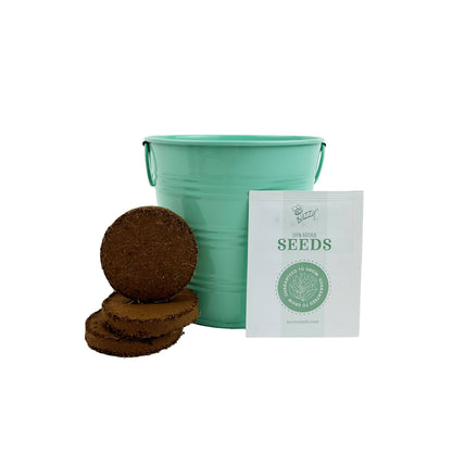 Buzzy Seeds Kids Flower Grow Pail - Coneflower Garden Kit