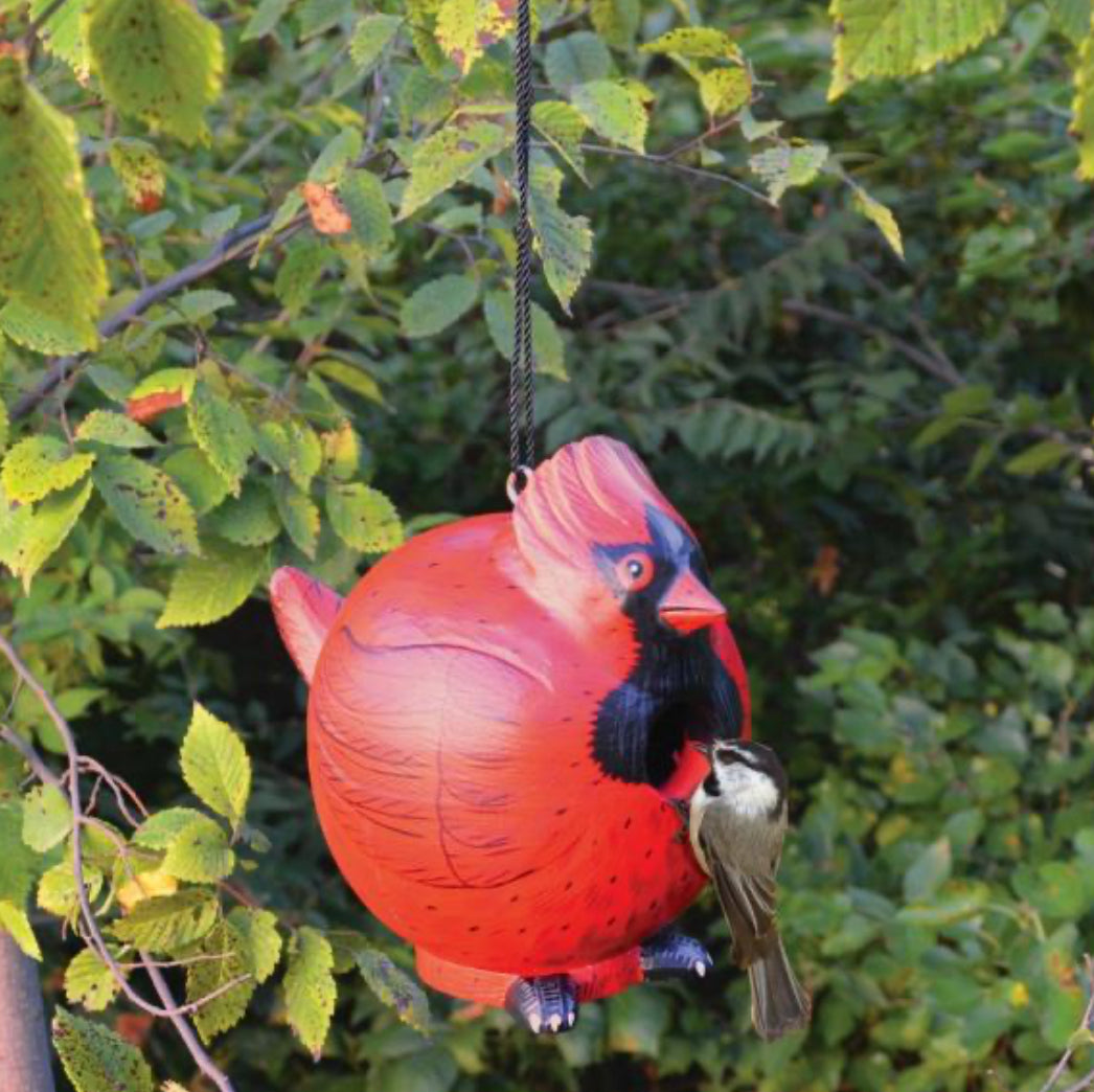 Birdhouse Cardinal Gord-O Ball