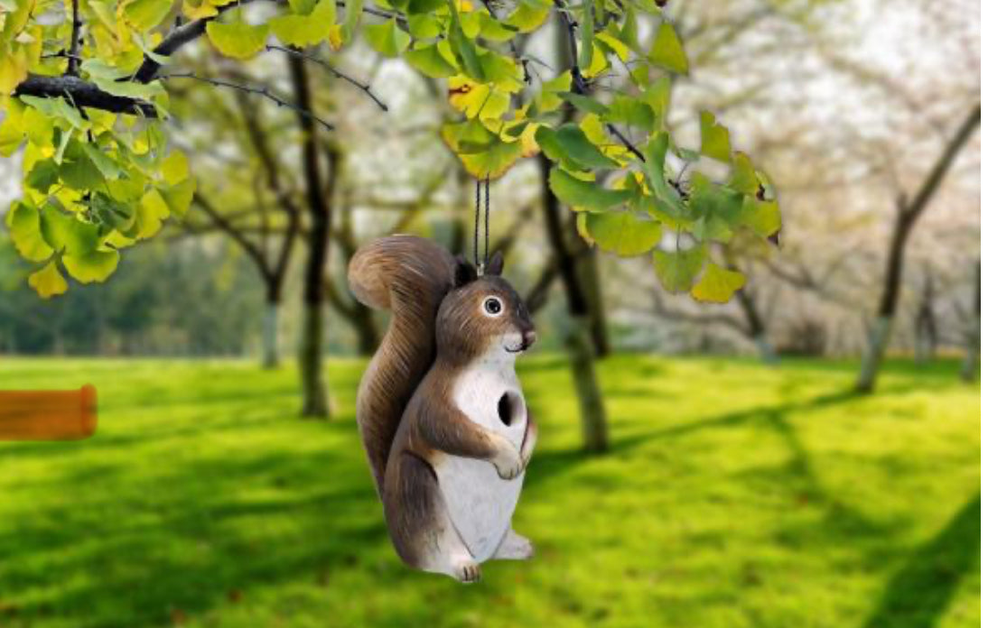 Squirrel Birdhouse